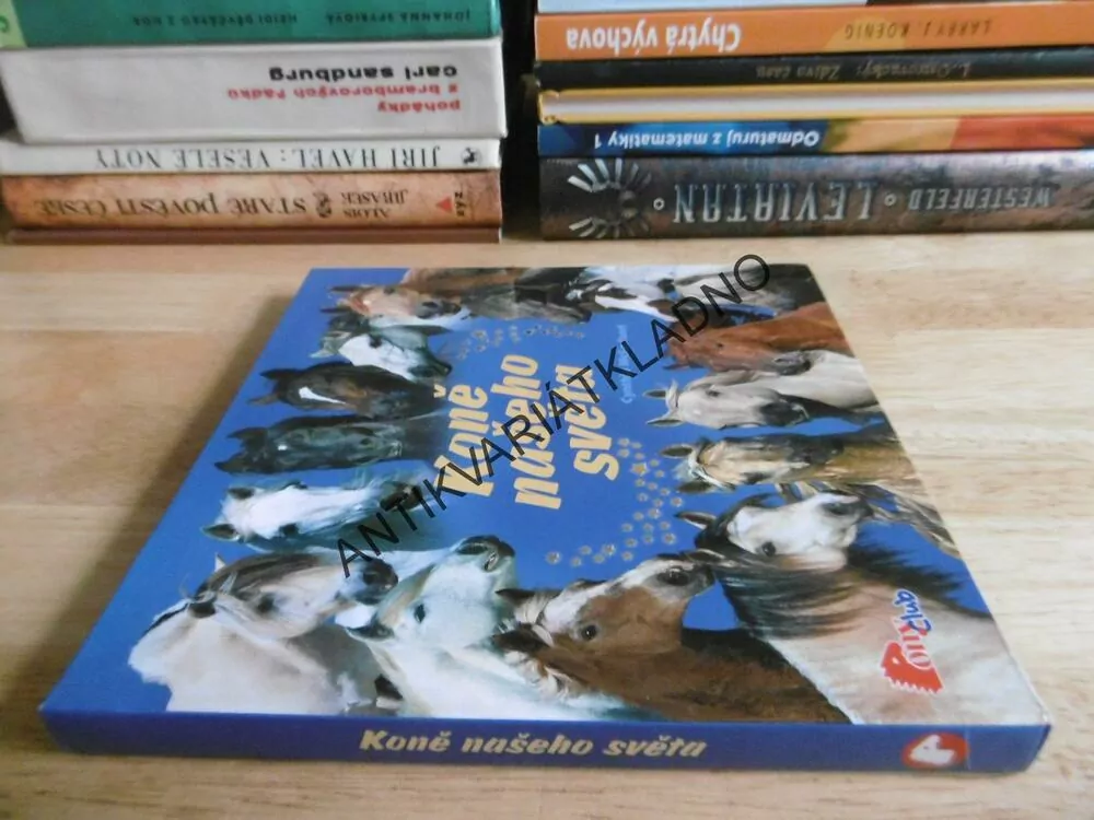 KONĚ NAŠEHO SVĚTA, CYNTHIA MCFARLAND, PONY CLUB, **an