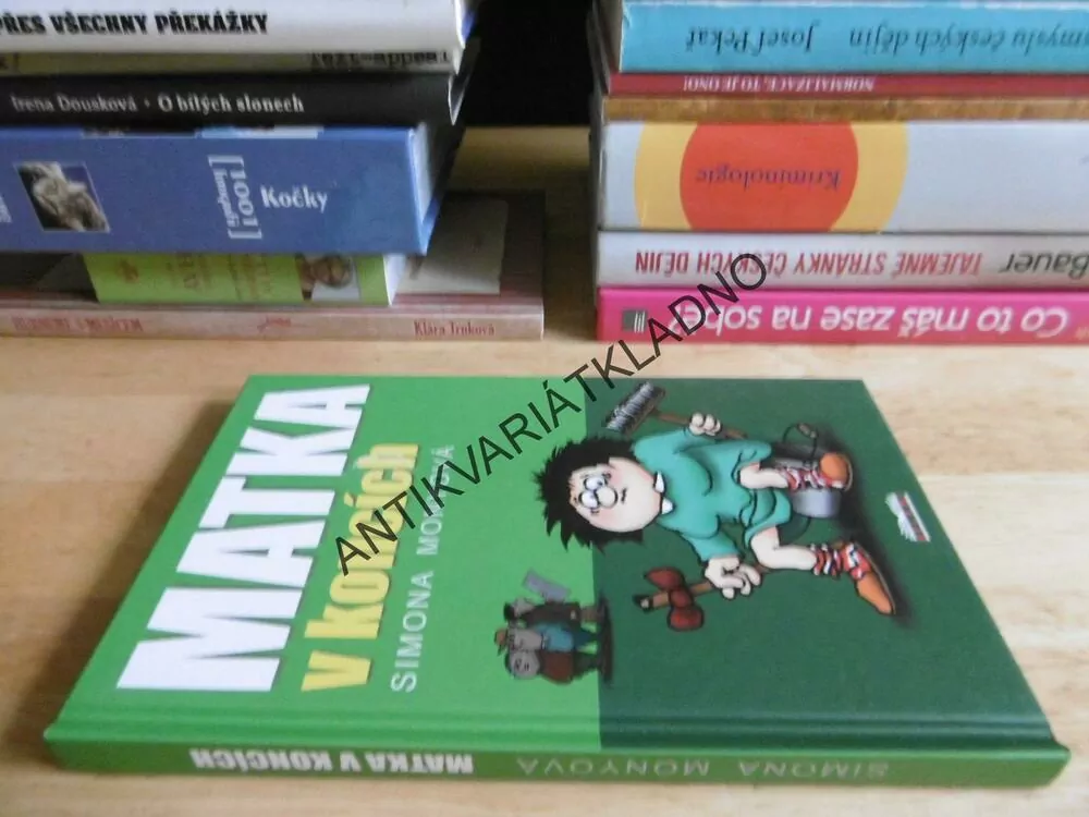 MATKA V KONCÍCH, SIMONA MONYOVÁ, **an