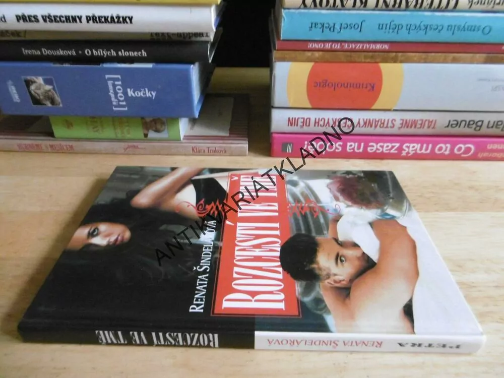 ROZCESTÍ VE TMĚ, RENATA ŠINDELÁŘOVÁ, **an