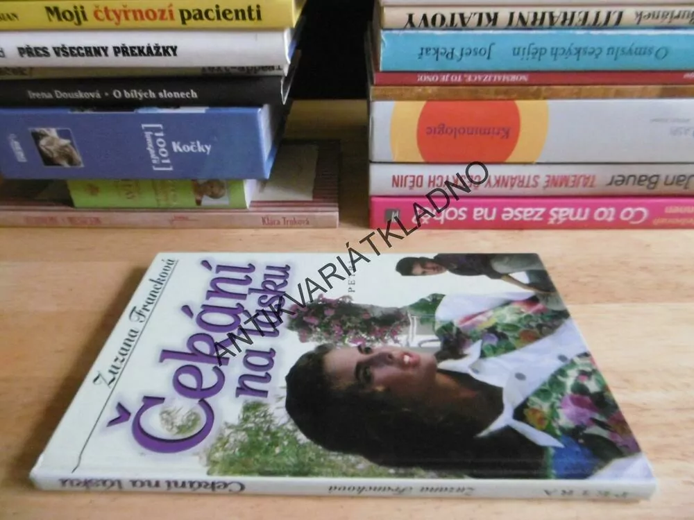 ČEKÁNÍ NA LÁSKU, ZUZANA FRANCKOVÁ, **an