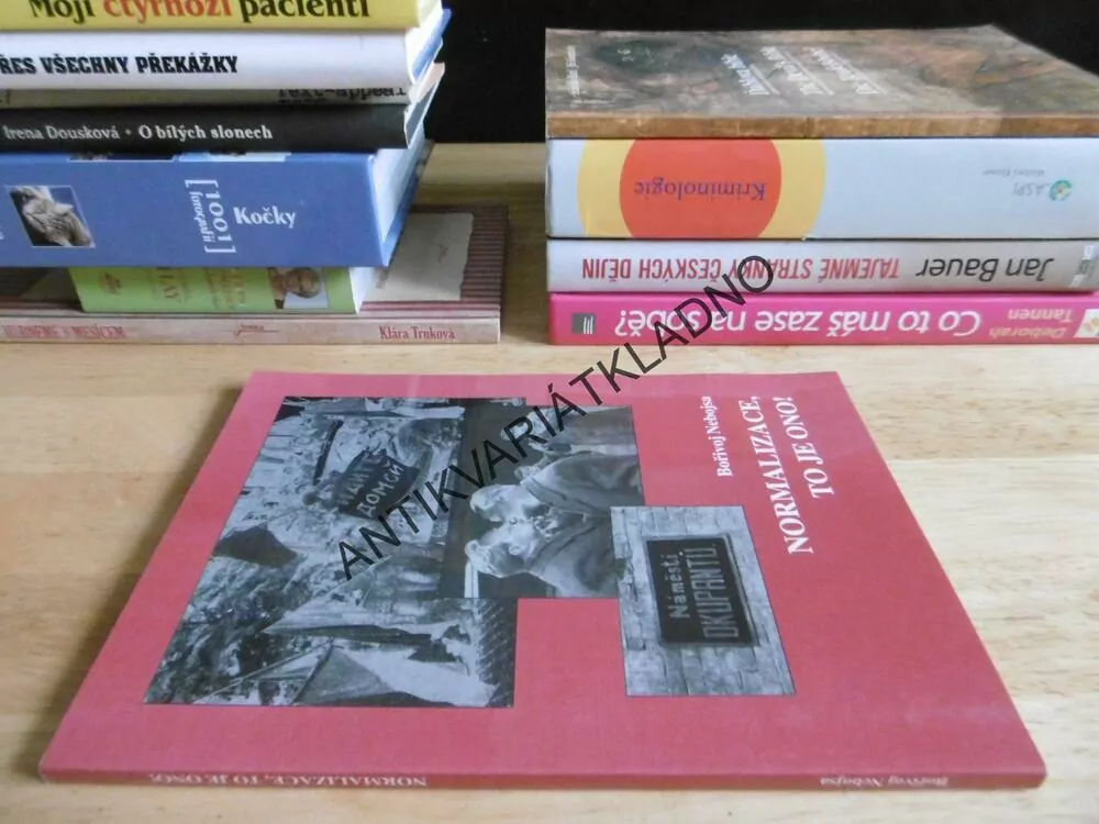 NORMALIZACE, TO JE ONO! BOŘIVOJ NEBOJSA, **an