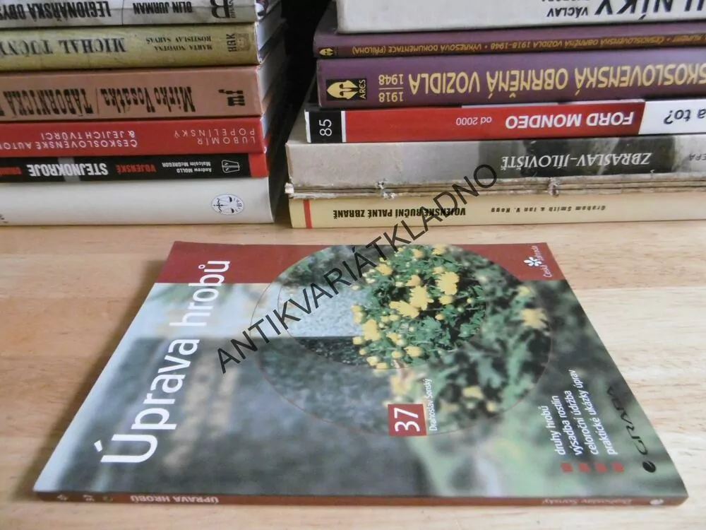 ÚPRAVA HROBŮ, ČESKÁ ZAHRADA 37, DRAHOSLAV ŠONSKÝ, **an