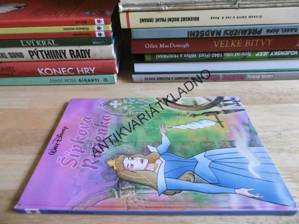 ŠÍPKOVÁ RŮŽENKA, WALT DISNEY, **an