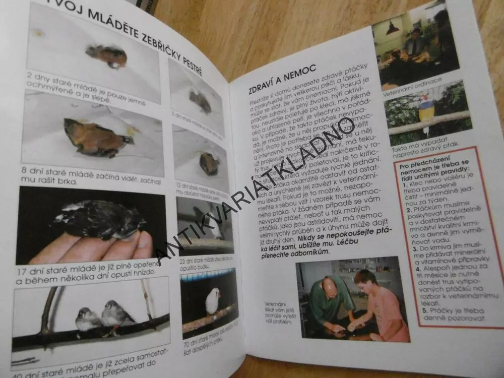 CHŮVIČKY A ZEBŘIČKY, BYDLÍ S NÁMI, 