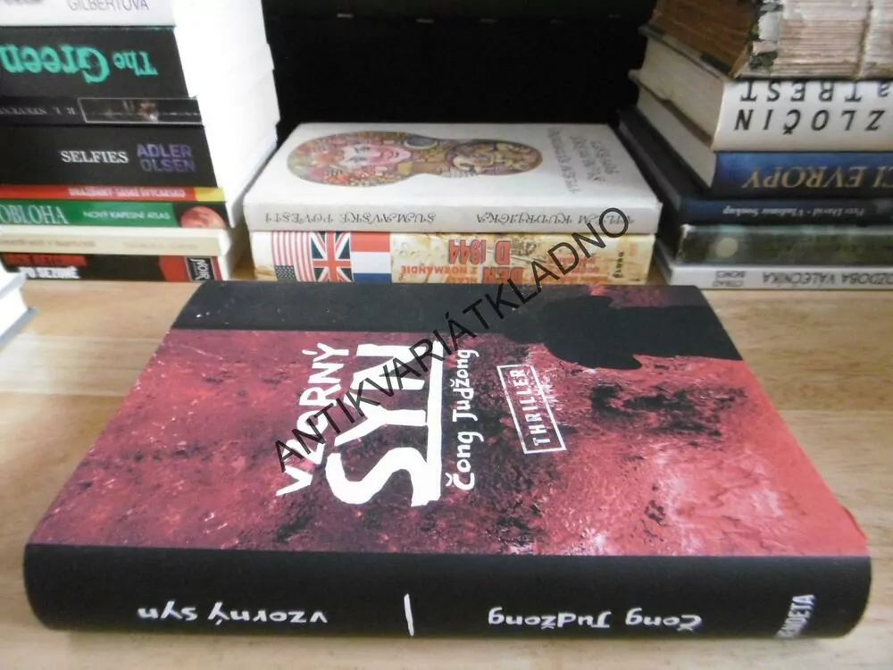 VZORNÝ SYN, ČONG JUDŽONG, **an