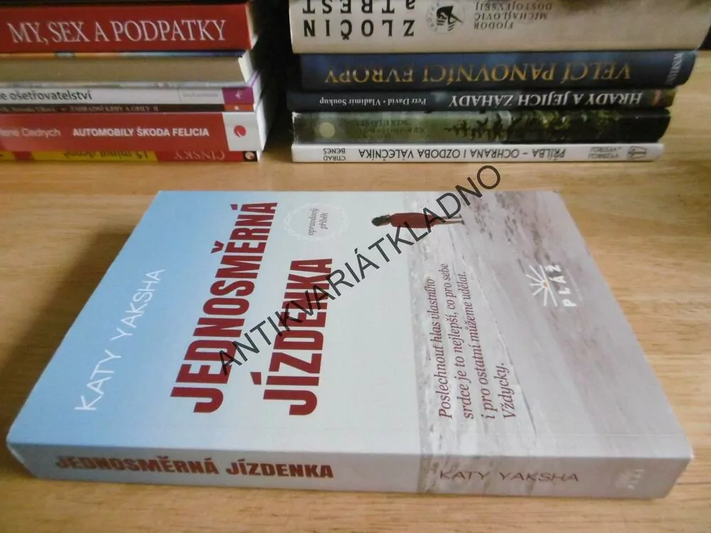 JEDNOSMĚRNÁ JÍZDENKA, KATY YAKSHA, **an