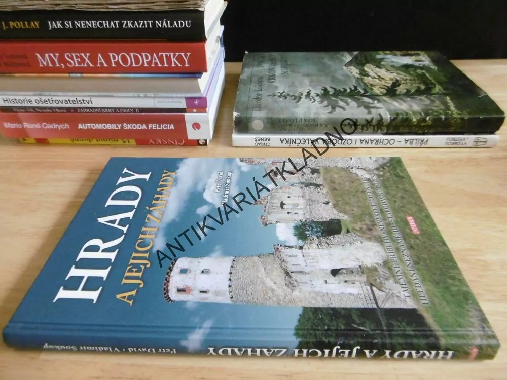 HRADY A JEJICH ZÁHADY, PETR DAVID, SOUKUP, **an