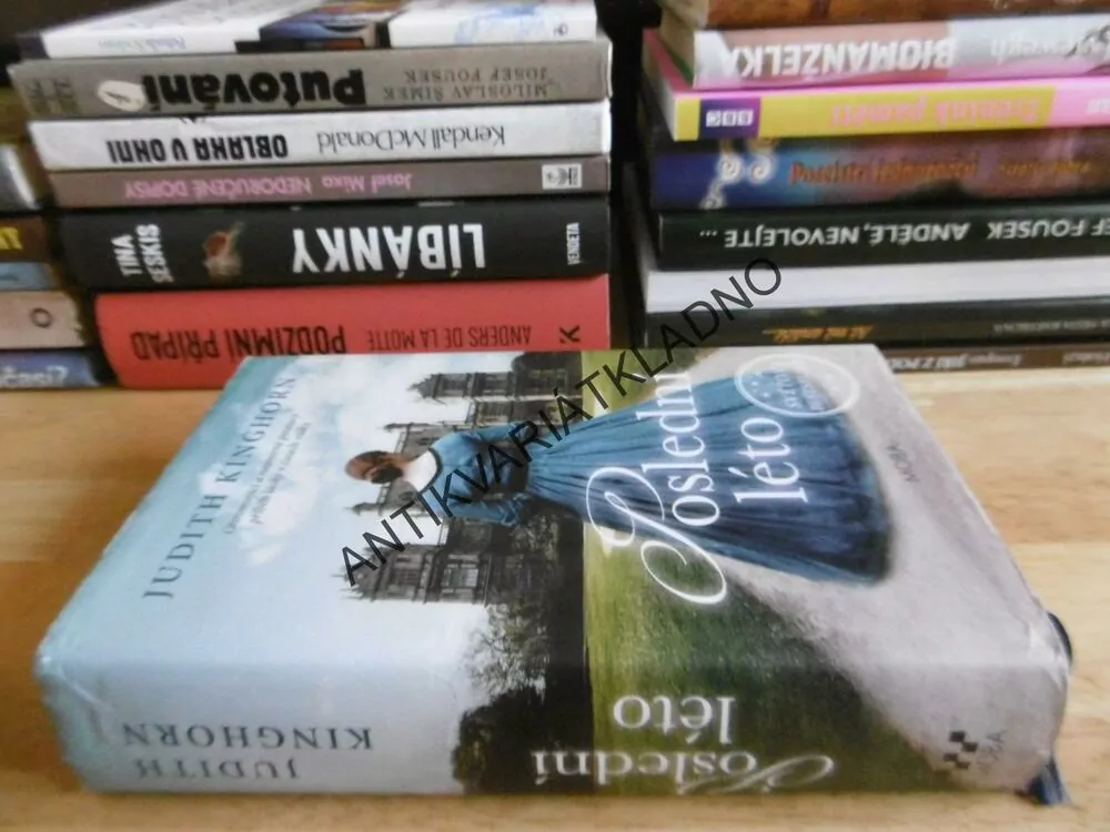 POSLEDNÍ LÉTO, JUDITH KINGHORN, **an