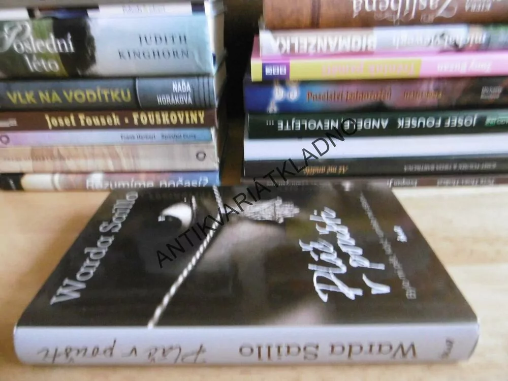 PLÁČ V POUŠTI, WARDA SAILLO, **an