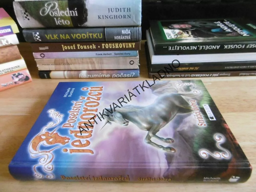 POSELSTVÍ JEDNOROŽCŮ, STRÁŽCI DOBRA, MICHAELA BURDOVÁ, **an