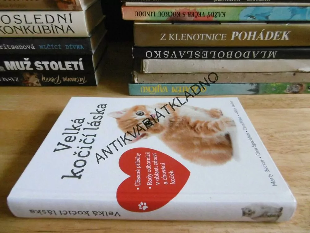 VELKÁ KOČIČÍ LÁSKA, MARTY BECKER, **an