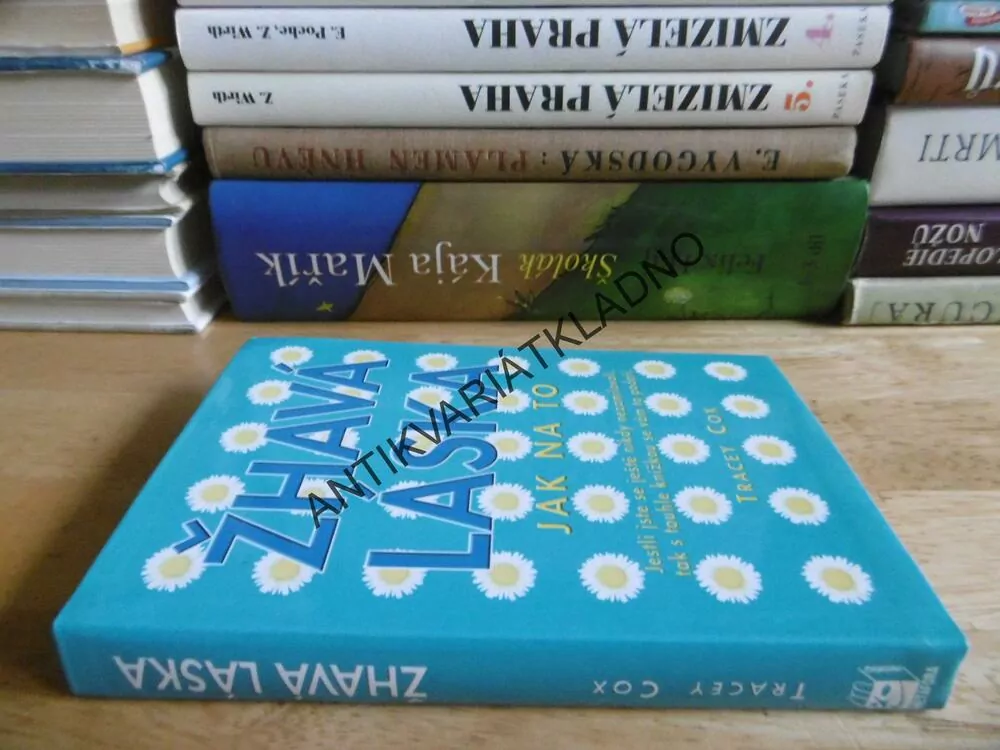 ŽHAVÁ LÁSKA, JAK NA TO, TRACEY COXOVÁ, **an