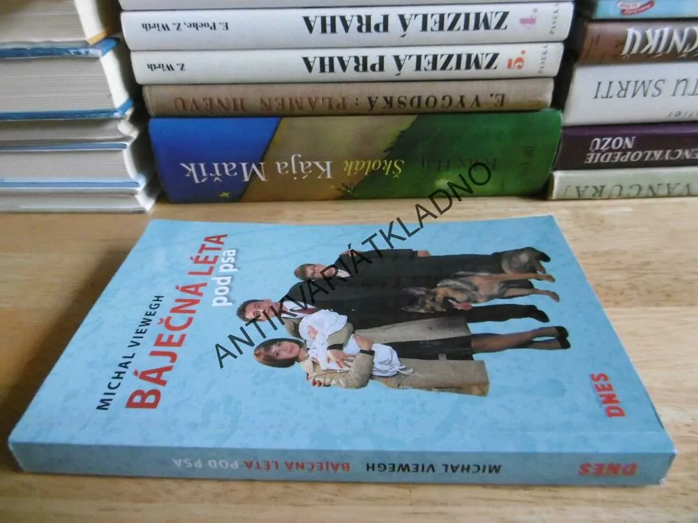BÁJEČNÁ LÉTA POD PSA, MICHAL VIEWEGH, **an