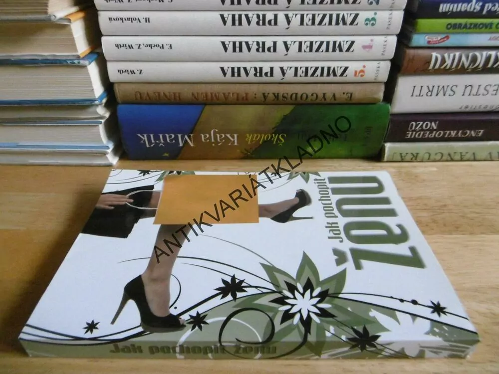 JAK POCHOPIT ŽENU, HAUKE BROST, **an