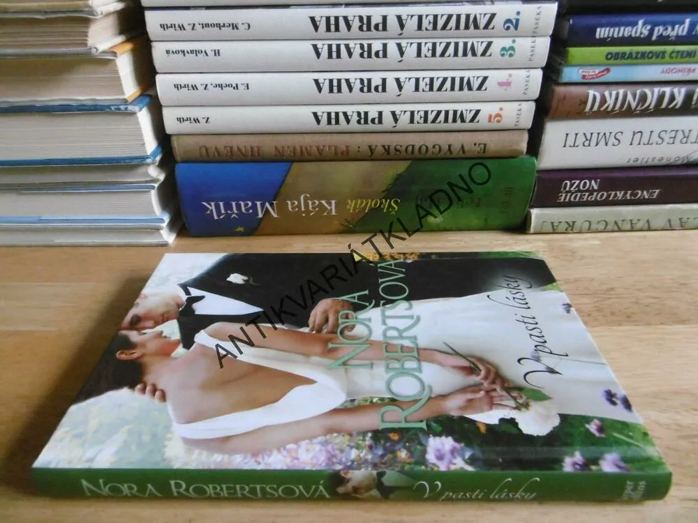 V PASTI LÁSKY, NORA ROBERTSOVÁ, **an