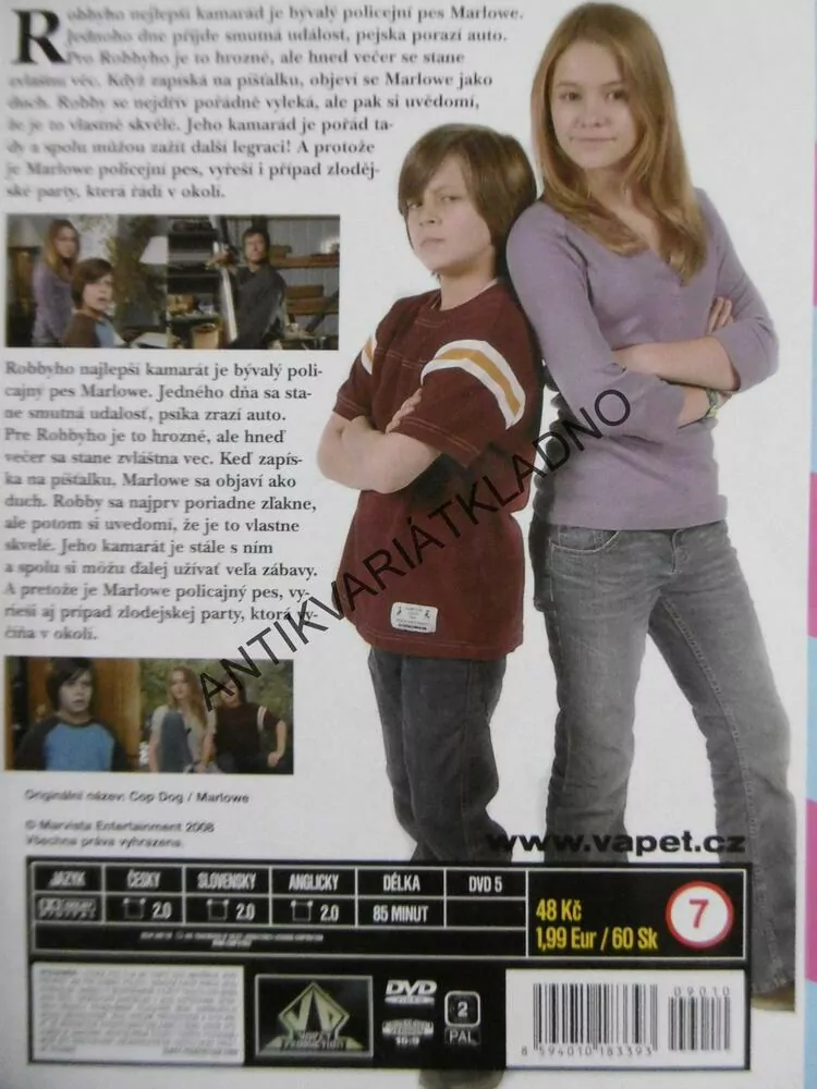 NEJLEPŠÍ POLICAJT, DVD FILM 