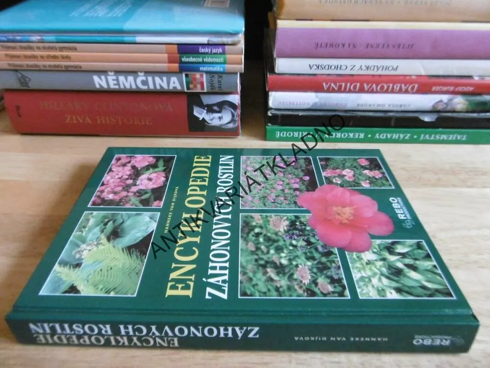 ENCYKLOPEDIE ZÁHONOVÝCH ROSTLIN, HANNEKE VAN DIJKOVÁ, **an