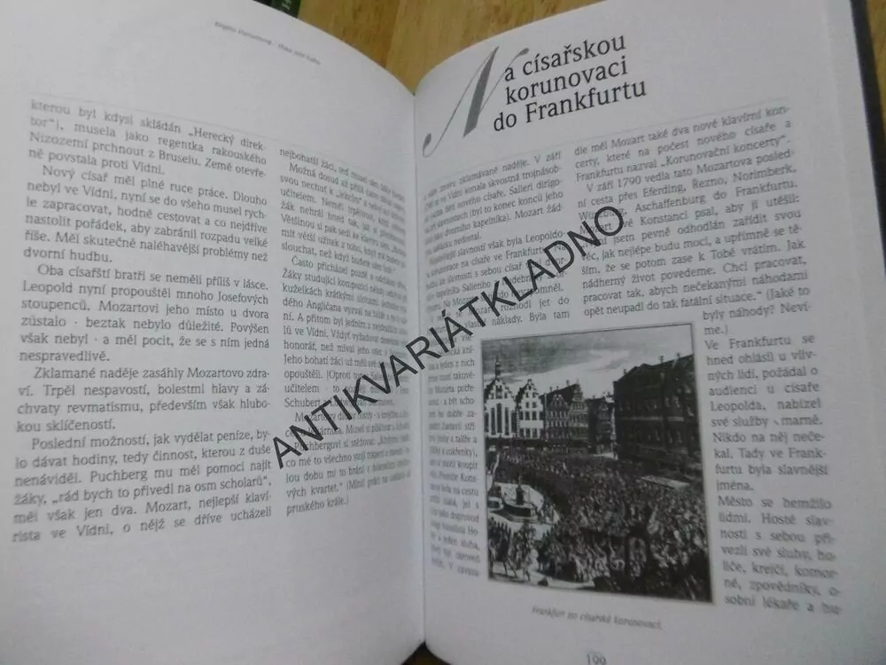 HLAVA PLNÁ HUDBY, ŽIVOT WOLFGANGA AMADEA MOZARTA, BRIGITTE HAMANNOVÁ, **an