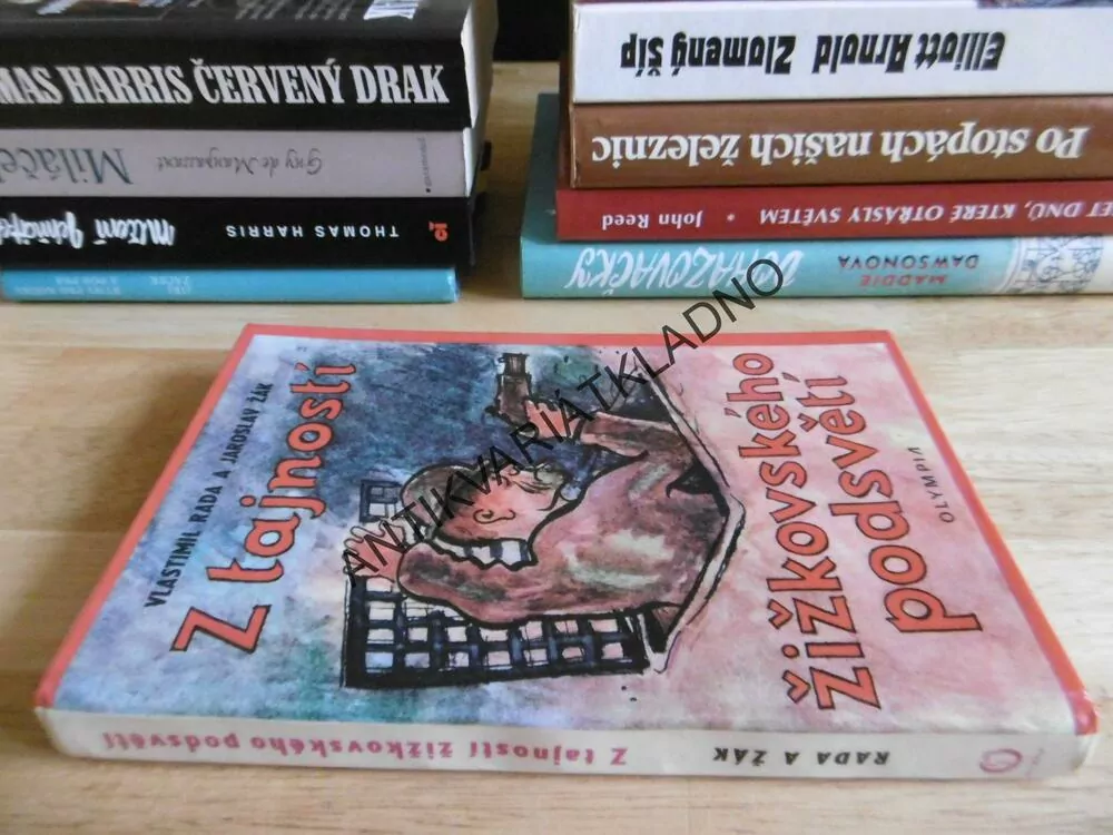 Z TAJNOSTI ŽIŽKOVSKÉHO PODSVĚTÍ, VLASTIMIL RADA, JAROSLAV ŽÁK, **an