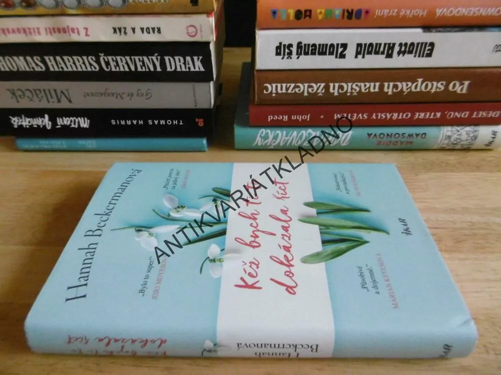 KÉŽ BYCH TI TO DOKÁZALA ŘÍCT, HANNAH BECKERMAN, **an