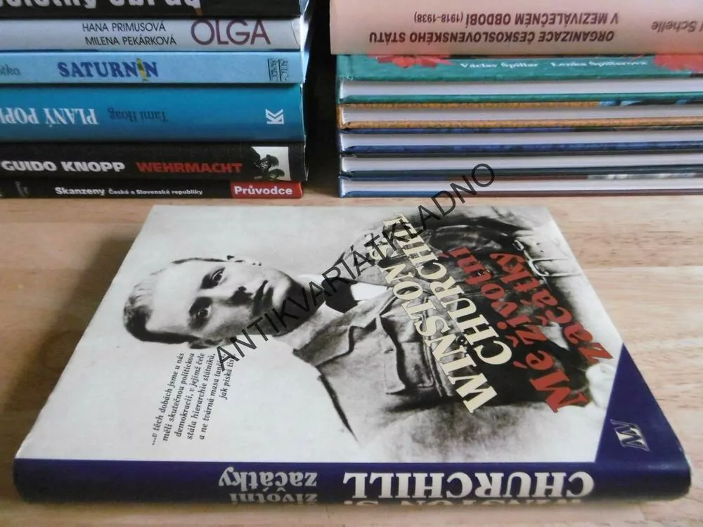 WINSTON S. CHURCHILL, MÉ ŽIVOTNÍ ZAČÁTKY, **an