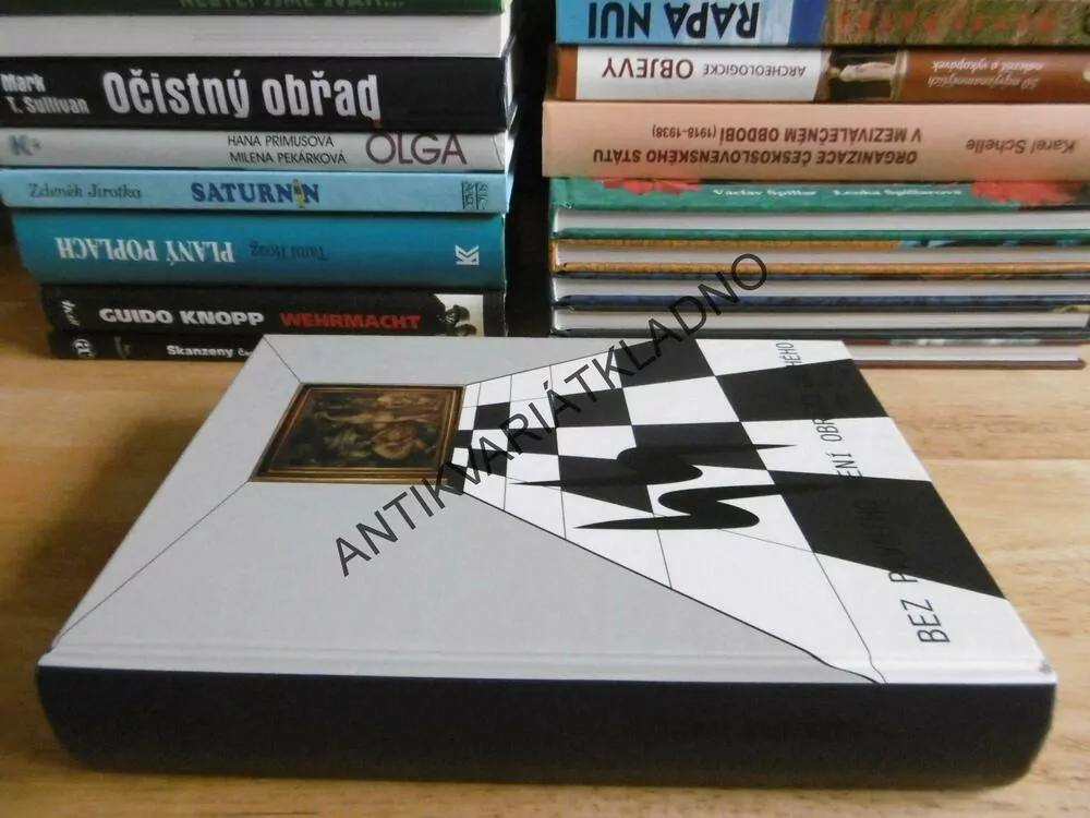 BEZ PRVNÍHO NENÍ OBRAZU DRUHÉHO, BANABÁŠ BARTL, 2015, **an