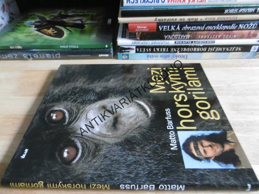 MEZI HORSKÝMI GORILAMI, MATTO BARFUSS, **an