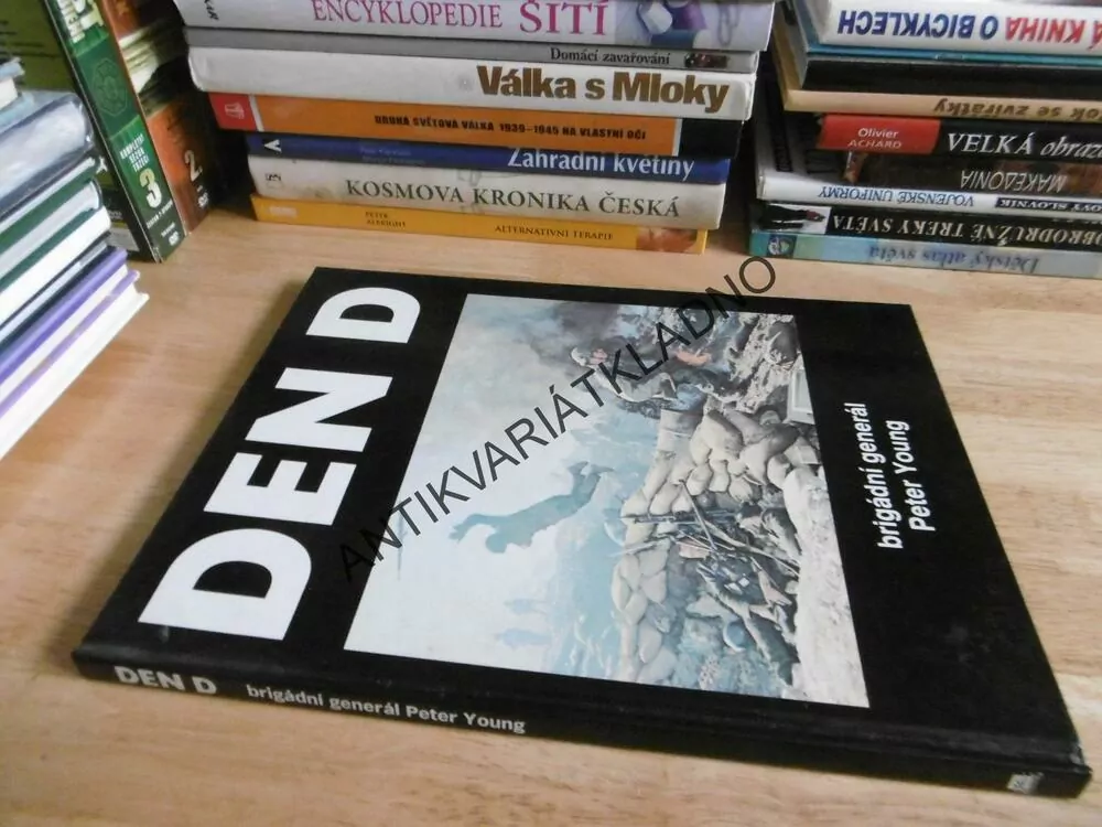 DEN D, BRIGÁDNÍ GENERÁL PETER YOUNG,1994, **an