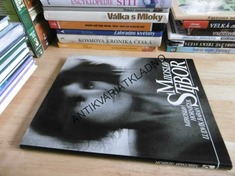 MILOSLAV STIBOR, MIROSLAV HORNÍČEK, LUDVÍK BARAN, FOTOGRAFIE AKT, ŽENY, **an