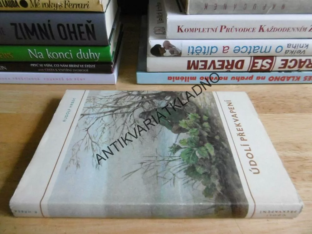 ÚDOLÍ PŘEKVAPENÍ, RUDOLF HRBEK, 1987 , **an