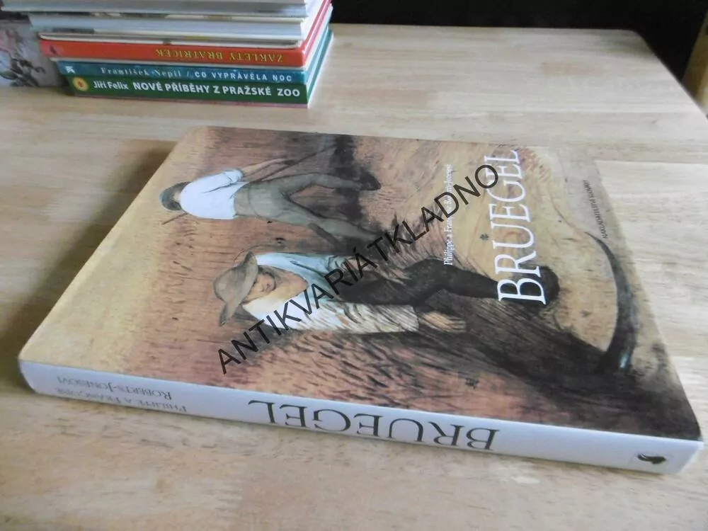PIETER BRUEGEL STARŠÍ, PHILIPP A FRANCOISE ROBERTS-JONESOVÁ, **an