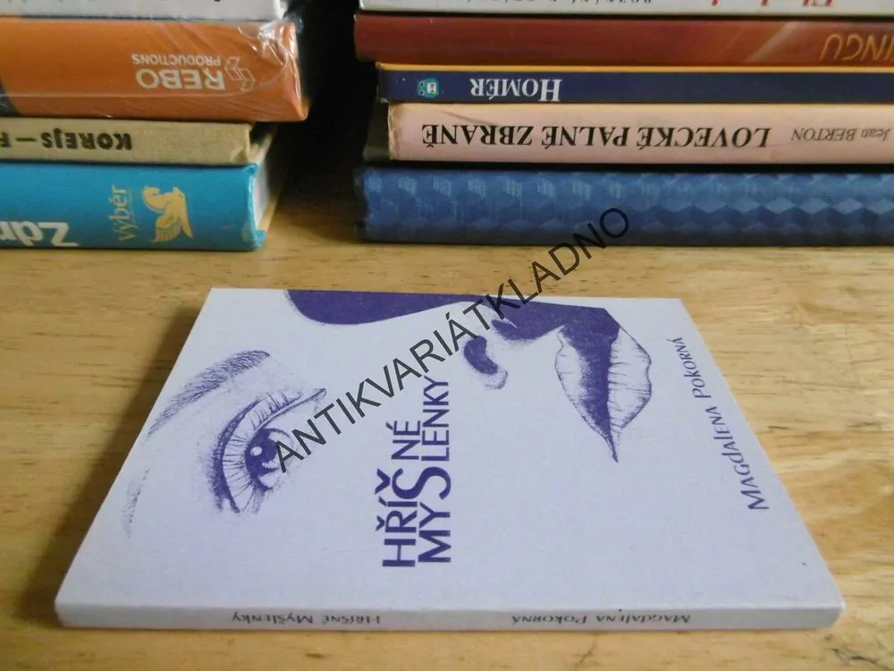 HŘÍŠNÉ MYŠLENKY, MAGDALENA POKORNÁ,