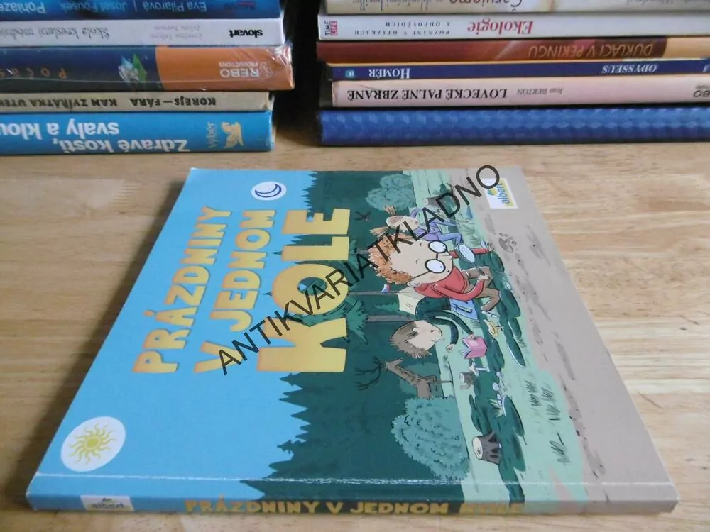 PRÁZDNINY V JEDNOM KOLE, **an