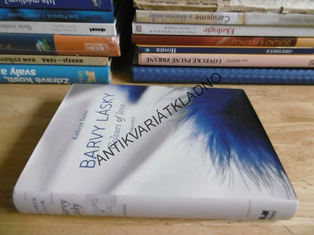 BARVY LÁSKY, ZTRACENÁ, KATHRYN TAYLOR, **an