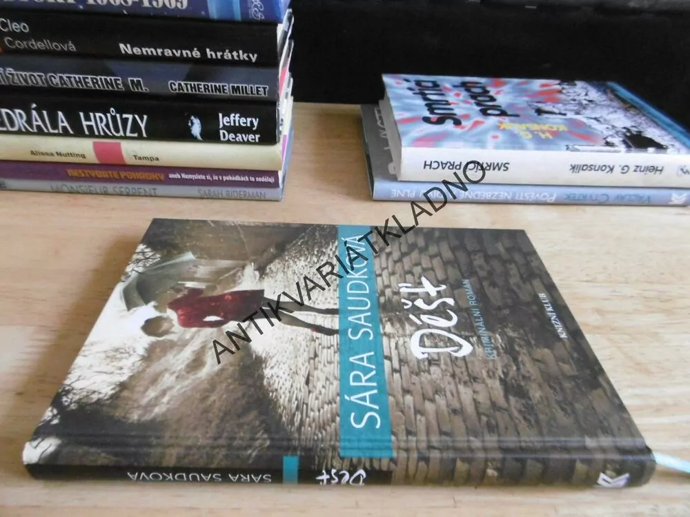 DÉŠŤ, SÁRA SAUDKOVÁ,  **an 
