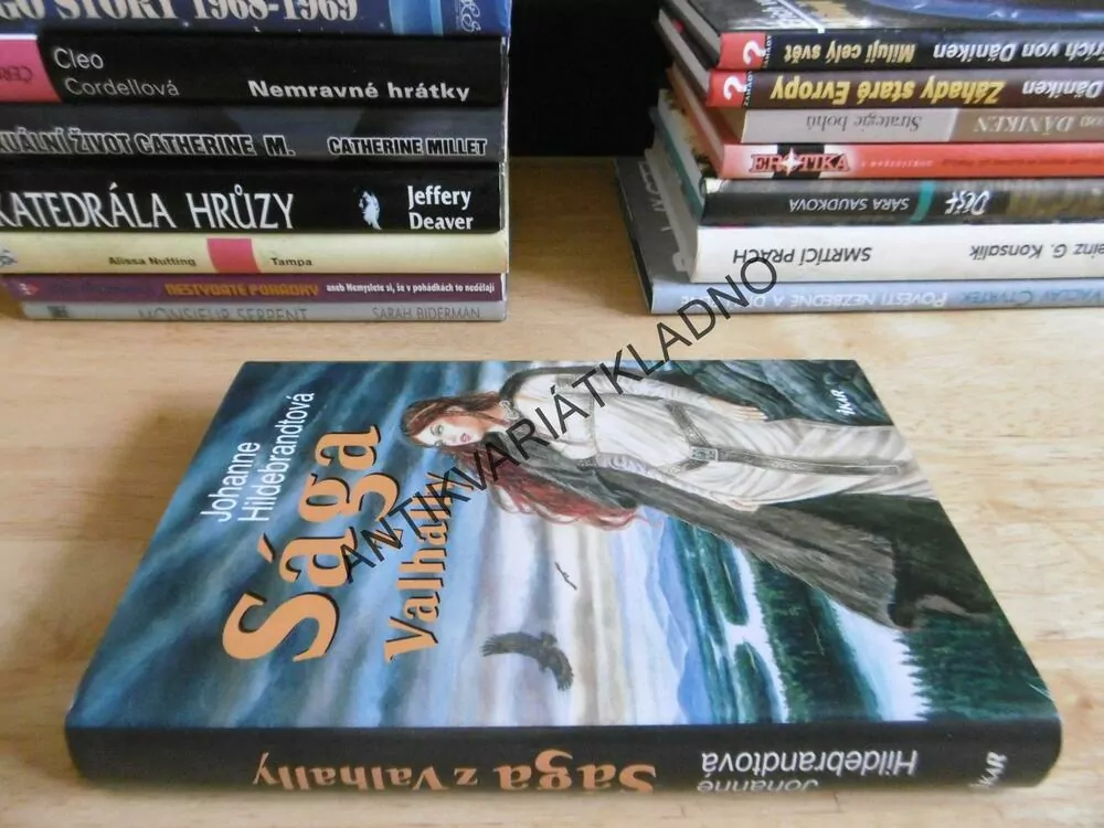 SÁGA Z VALHALLY, JOHANNE HILDEBRANDTOVÁ, **an