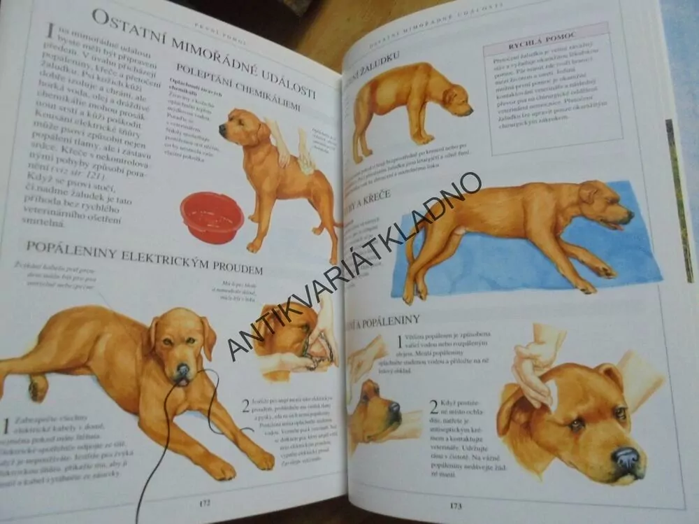 JÁ PES, VELKÁ KNIHA PÉČE O PSA, KYNOLOGIE, **an