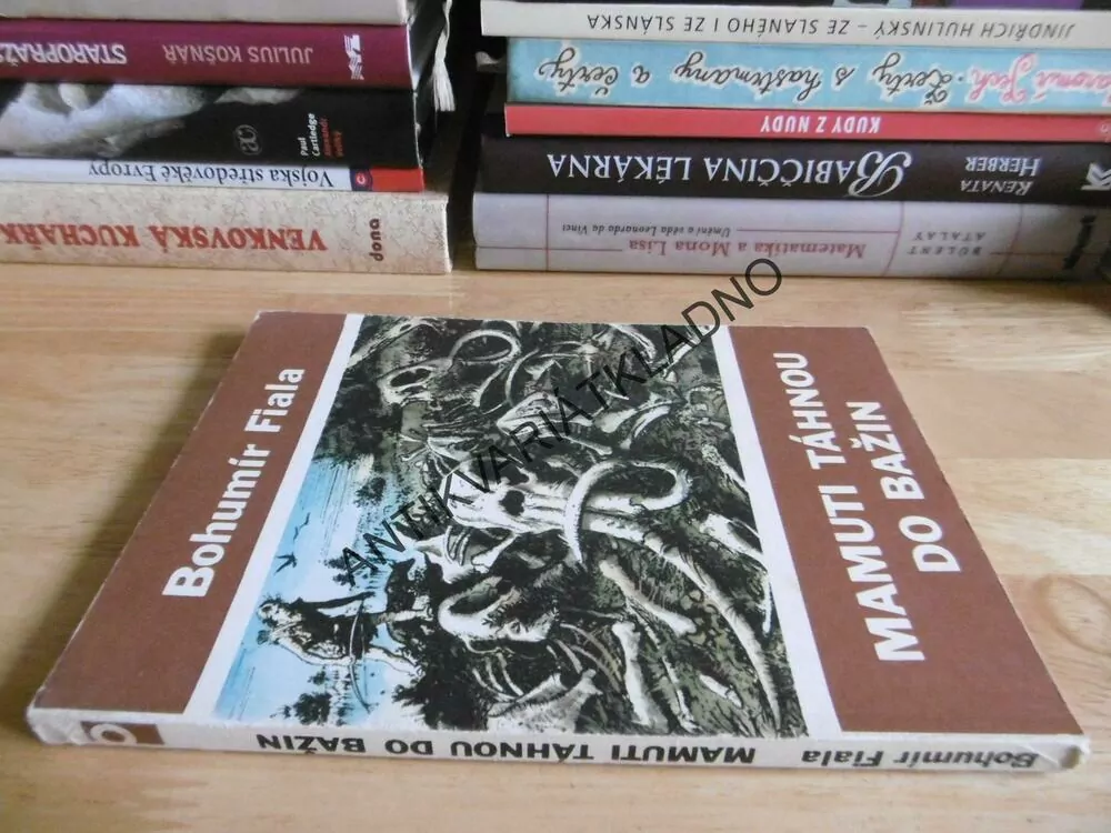 MAMUTI TÁHNOU DO BAŽIN, BOHUMÍR FIALA, ZDENĚK BURIAN, 1978, **an