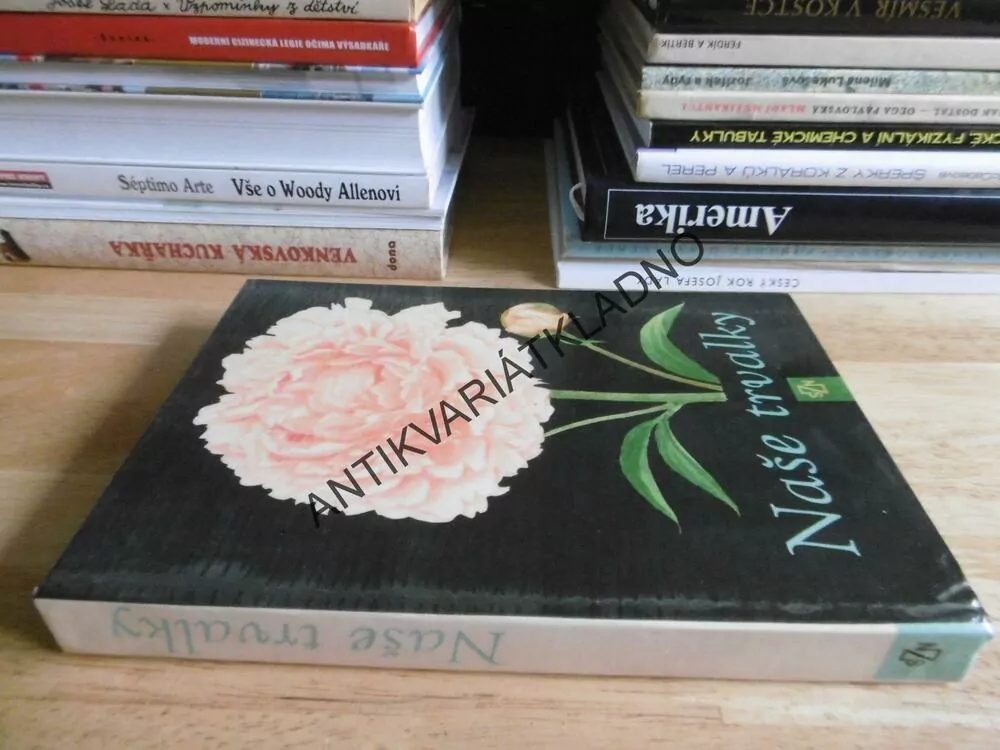 NAŠE TRVALKY,1964, KUBEČKOVÁ, **an