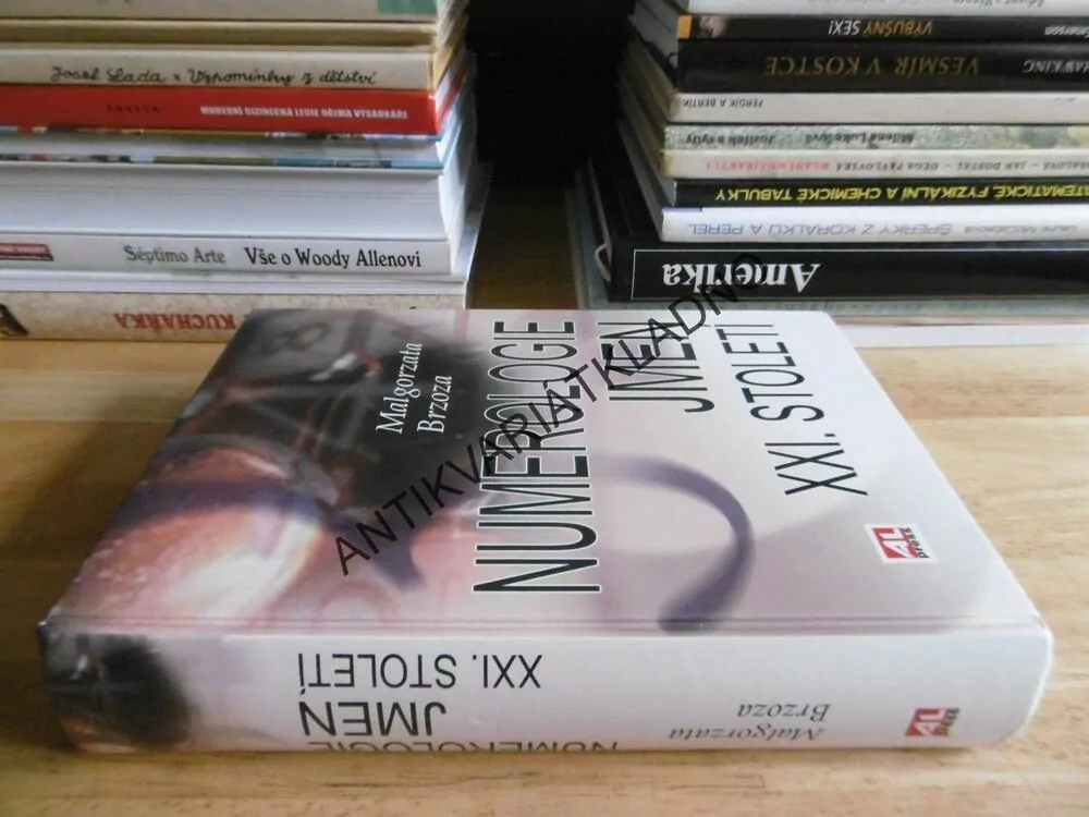 NUMEROLOGIE JMEN XXI.STOLETÍ, MALGORZATA BRZOZA, **an