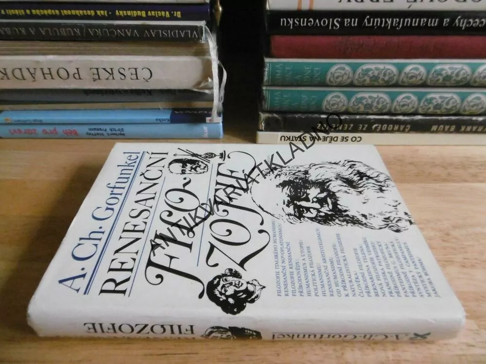 RENESANČNÍ FILOZOFIE, A.CH. GORFUNKEL, **an