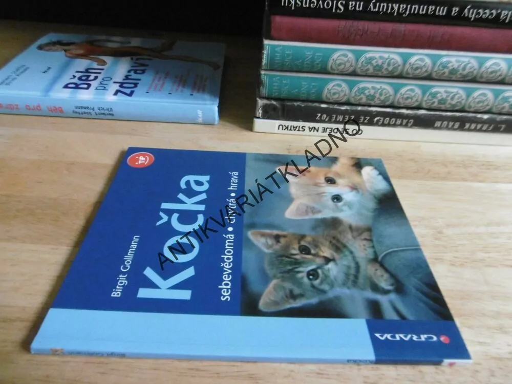 KOČKA, SEBEVĚDOMÁ, CHYTRÁ, HRAVÁ, BIRGIT GOLLMANN, **an
