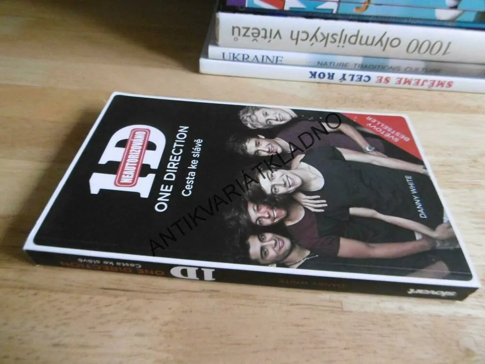 ONE DIRECTION, CESTA KE SLÁVĚ, DANNY WHITE, HUDEBNÍ SKUPINA,