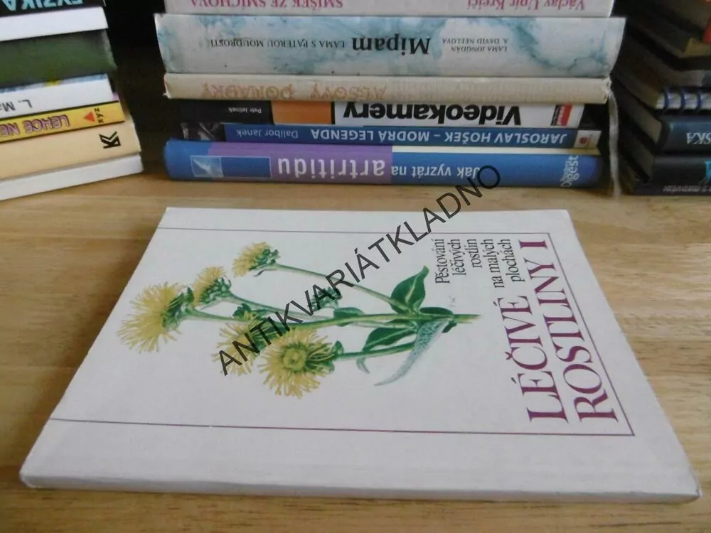 LÉČIVÉ ROSTLINY I., pěstování léčivých rostlin na malých plochách, **an