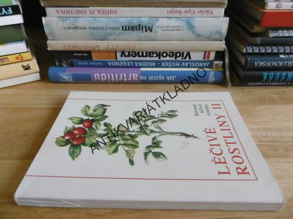 LÉČIVÉ ROSTLINY II., SBÍRÁME LÉČIVÉ ROSTLINY, **an