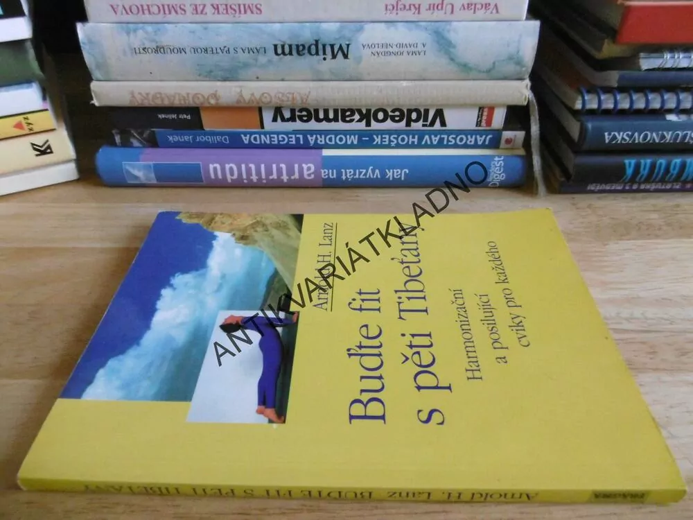 BUĎTE FIT S PĚTI TIBEŤANY, ARNOLD H. LANZ,