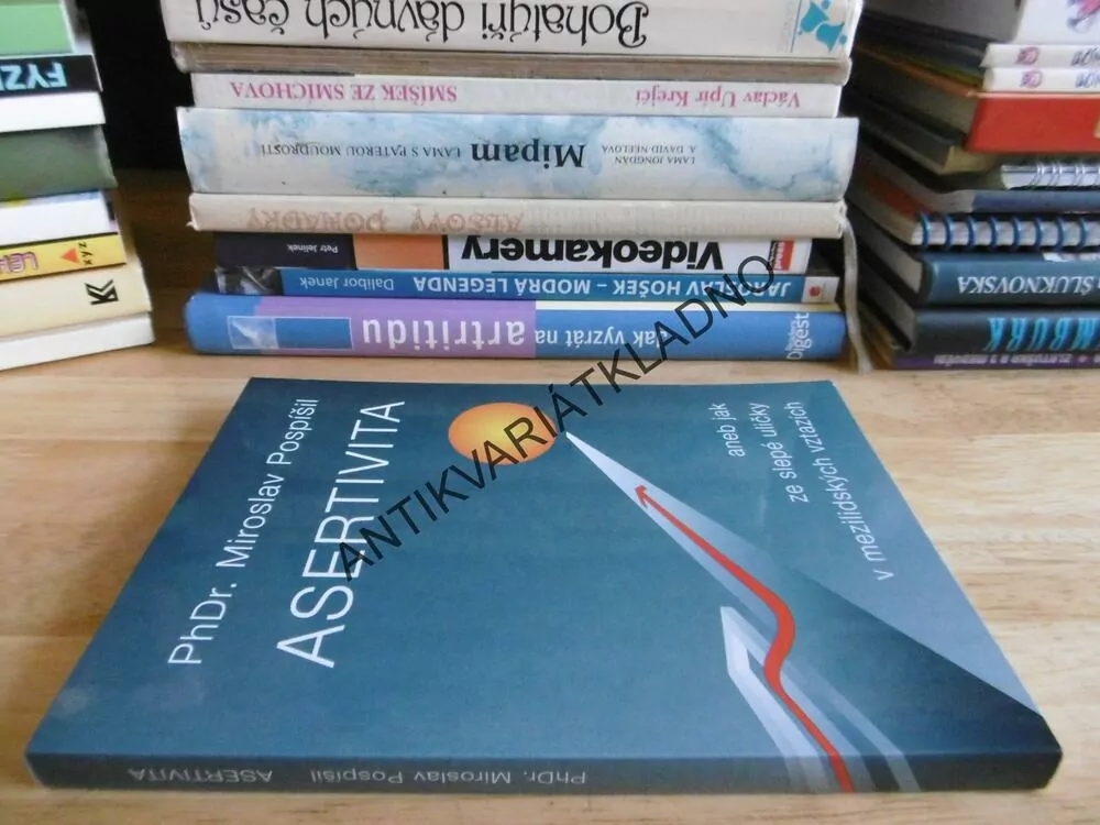 ASERTIVITA ANEB JAK ZE SLEPÉ ULIČKY V MEZILIDSKÝCH VZTAZÍCH, **an