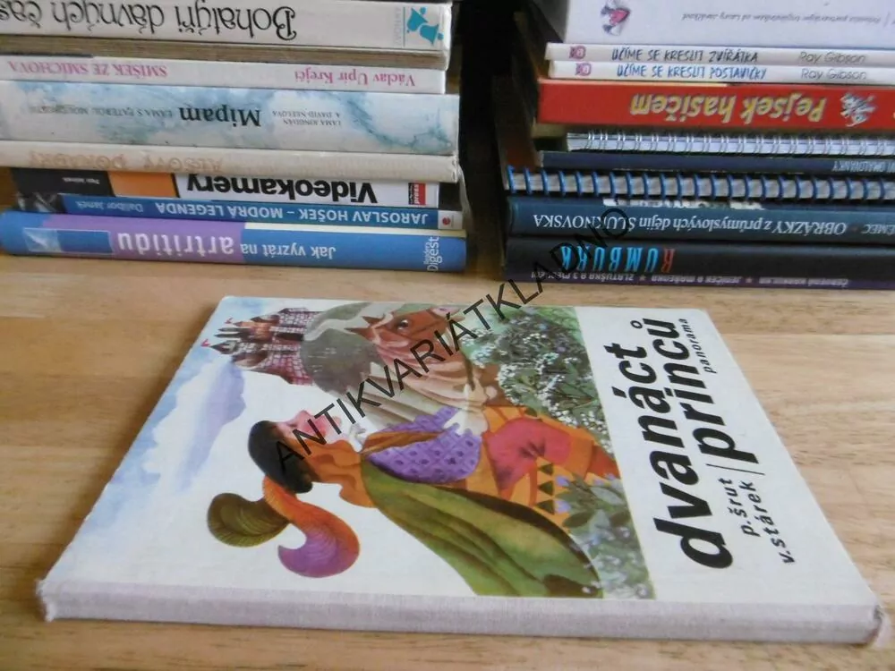 DVANÁCT PRINCŮ, ŠRUT, STÁREK, 1984, **an