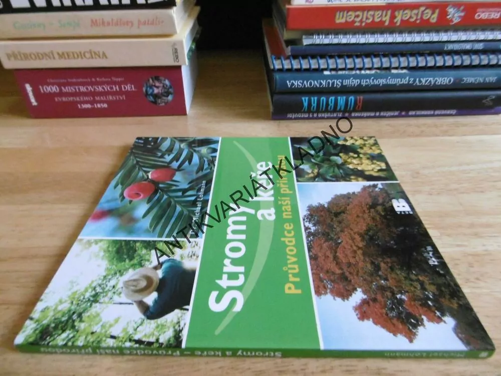 STROMY A KEŘE, PRŮVODCE NAŠÍ PŘÍRODOU, M. LOHMANN, **an