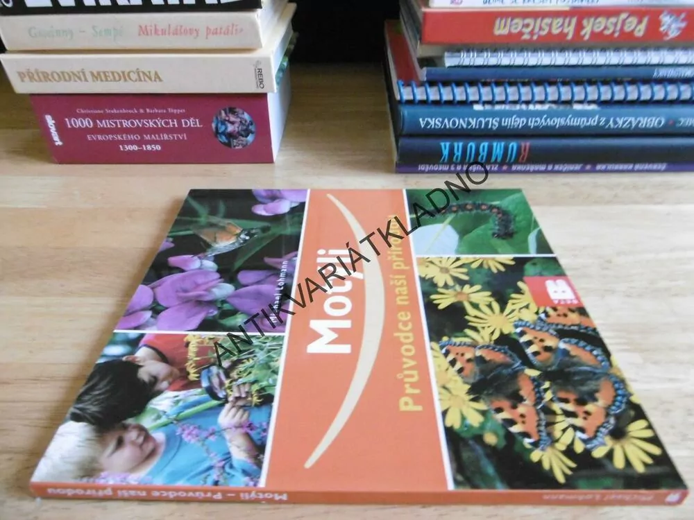 MOTÝLI, PRŮVODCE NAŠÍ PŘÍRODOU, M. LOHMANN, **an
